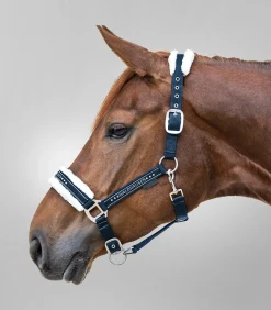 Waldhausen Pony & Shetty|Halfter></noscript>Halfter Elegant