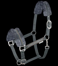 Waldhausen Pony & Shetty|Halfter></noscript>Halfter Elegant