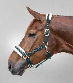 Waldhausen Pony & Shetty|Halfter></noscript>Halfter Elegant