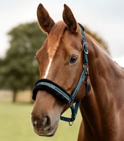 Waldhausen Pony & Shetty|Halfter></noscript>Halfter Elegant