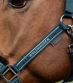 Waldhausen Pony & Shetty|Halfter></noscript>Halfter Elegant