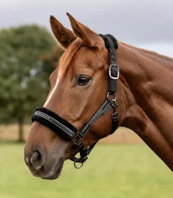 Waldhausen Pony & Shetty|Halfter></noscript>Halfter Elegant