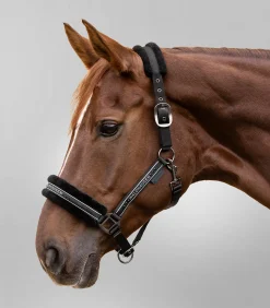 Waldhausen Pony & Shetty|Halfter></noscript>Halfter Elegant
