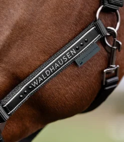 Waldhausen Pony & Shetty|Halfter></noscript>Halfter Elegant