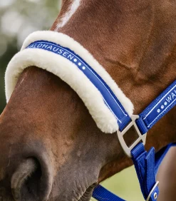 Waldhausen Pony & Shetty|Halfter></noscript>Halfter Elegant