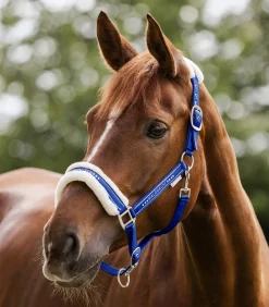 Waldhausen Pony & Shetty|Halfter></noscript>Halfter Elegant