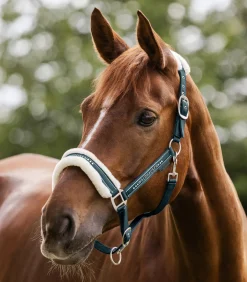 Waldhausen Pony & Shetty|Halfter></noscript>Halfter Elegant