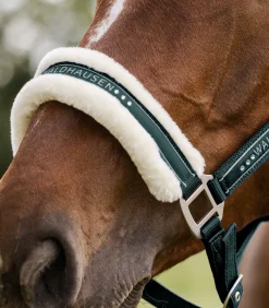 Waldhausen Pony & Shetty|Halfter></noscript>Halfter Elegant