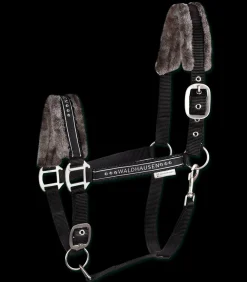 Waldhausen Pony & Shetty|Halfter></noscript>Halfter Elegant