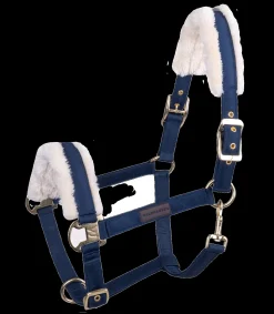 Waldhausen Halfter></noscript>Halfter Exclusive