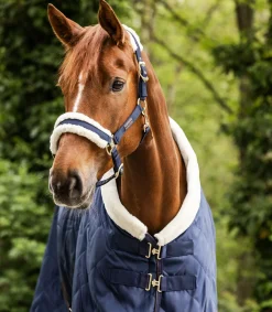 Waldhausen Halfter></noscript>Halfter Exclusive