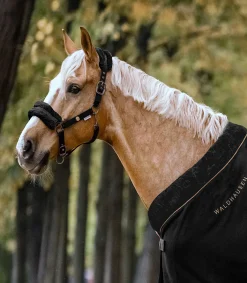 Waldhausen Halfter></noscript>Halfter Modern Rosé