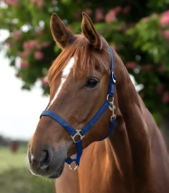 Waldhausen Pony & Shetty|Halfter><noscript><img width=