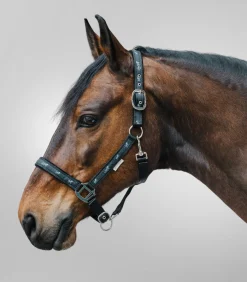 Waldhausen Halfter>Halfter Pferdchen