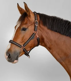 Waldhausen Pony & Shetty|Halfter>Halfter Rosé