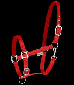 Waldhausen Halfter><noscript><img width=