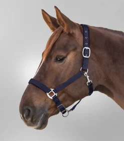 Waldhausen Halfter><noscript><img width=