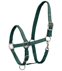 Waldhausen Halfter><noscript><img width=