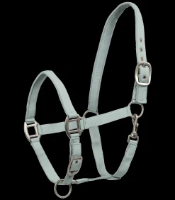 Waldhausen Halfter><noscript><img width=