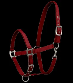 Waldhausen Halfter><noscript><img width=