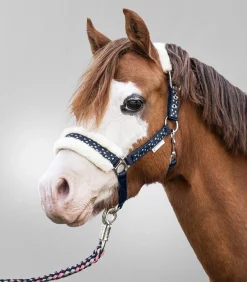 Waldhausen Halfter></noscript>Halfter Set Lucky