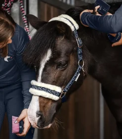 Waldhausen Halfter></noscript>Halfter Set Lucky