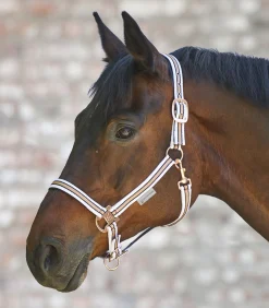 Waldhausen Pony & Shetty|Halfter>Halfter Shine