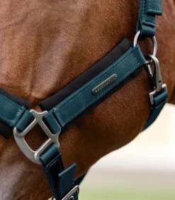 Waldhausen Halfter></noscript>Halfter Soft Touch