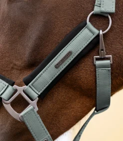 Waldhausen Halfter></noscript>Halfter Soft Touch