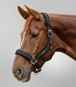 Waldhausen Halfter></noscript>Halfter Soft Touch