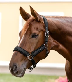 Waldhausen Halfter></noscript>Halfter Soft Touch