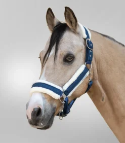 Waldhausen Pony & Shetty|Halfter><noscript><img width=