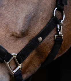 Waldhausen Halfter><noscript><img width=