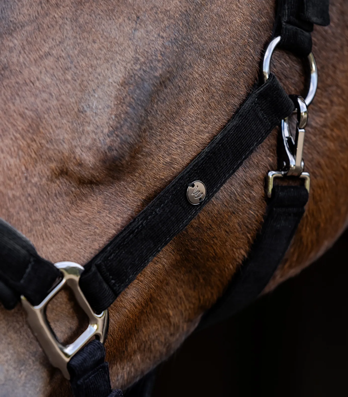 Waldhausen Halfter>Halfter St. Gallen