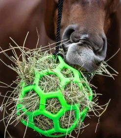 Waldhausen Pferdespielzeug & Beschäftigung|Heunetze>Heuball