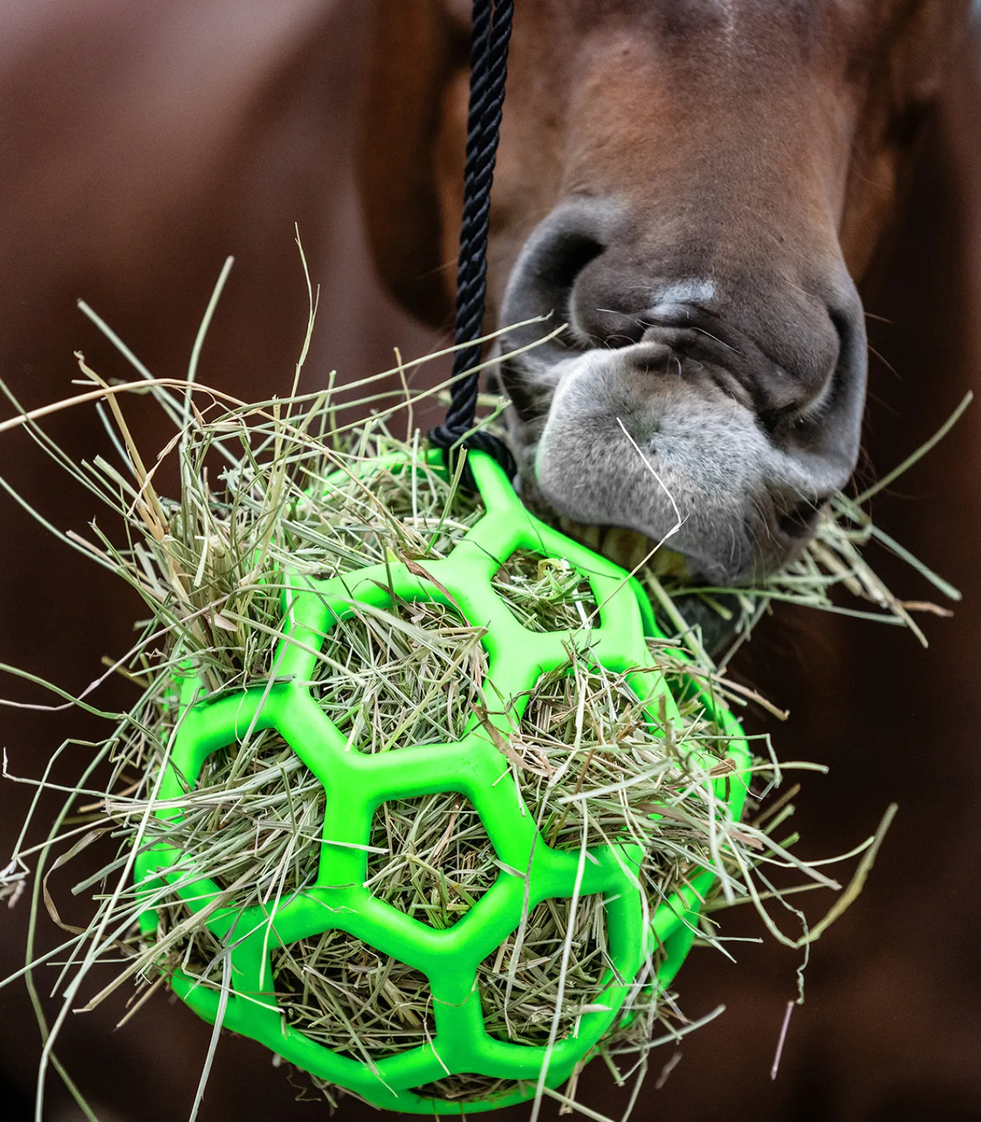Waldhausen Pferdespielzeug & Beschäftigung|Heunetze>Heuball