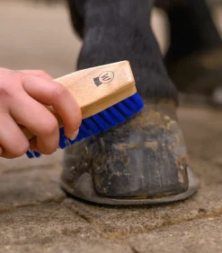 Waldhausen Huf & Pferdebein|Hufpflege><noscript><img width=