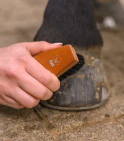 Waldhausen Hufpflege|Putzzeug><noscript><img width=