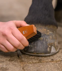 Waldhausen Hufpflege|Putzzeug><noscript><img width=