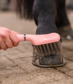 Waldhausen Hufpflege|Putzzeug><noscript><img width=