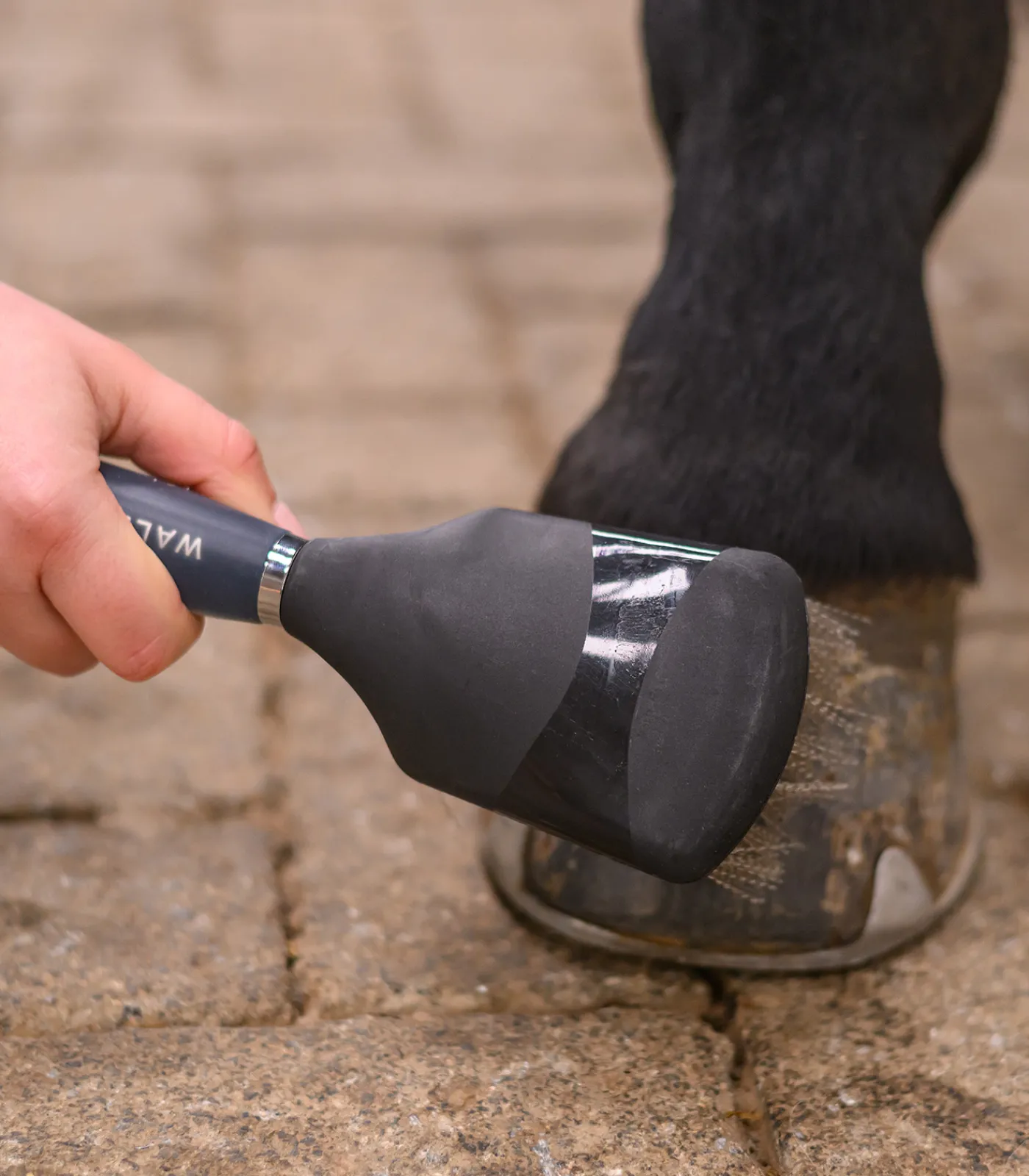 Waldhausen Hufpflege|Putzzeug>Hufbürste mit Gelgriff
