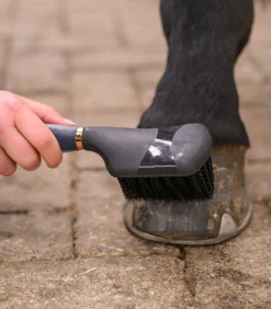 Waldhausen Hufpflege|Putzzeug><noscript><img width=