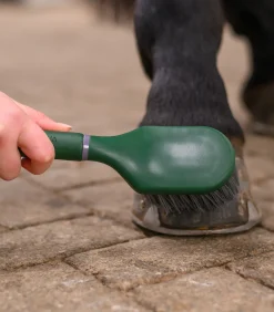 Waldhausen Hufpflege|Putzzeug><noscript><img width=