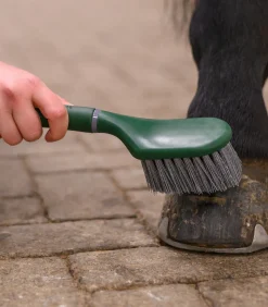 Waldhausen Hufpflege|Putzzeug><noscript><img width=