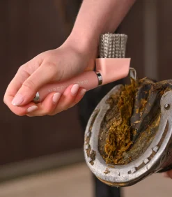 Waldhausen Hufpflege|Putzzeug></noscript>Hufkratzer mit Gelgriff