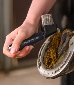 Waldhausen Hufpflege|Putzzeug></noscript>Hufkratzer mit Gelgriff