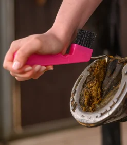 Waldhausen Hufpflege|Putzzeug></noscript>Hufkratzer mit Magnet