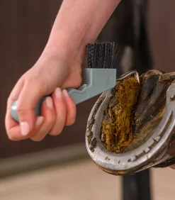 Waldhausen Hufpflege|Putzzeug></noscript>Hufkratzer mit Magnet