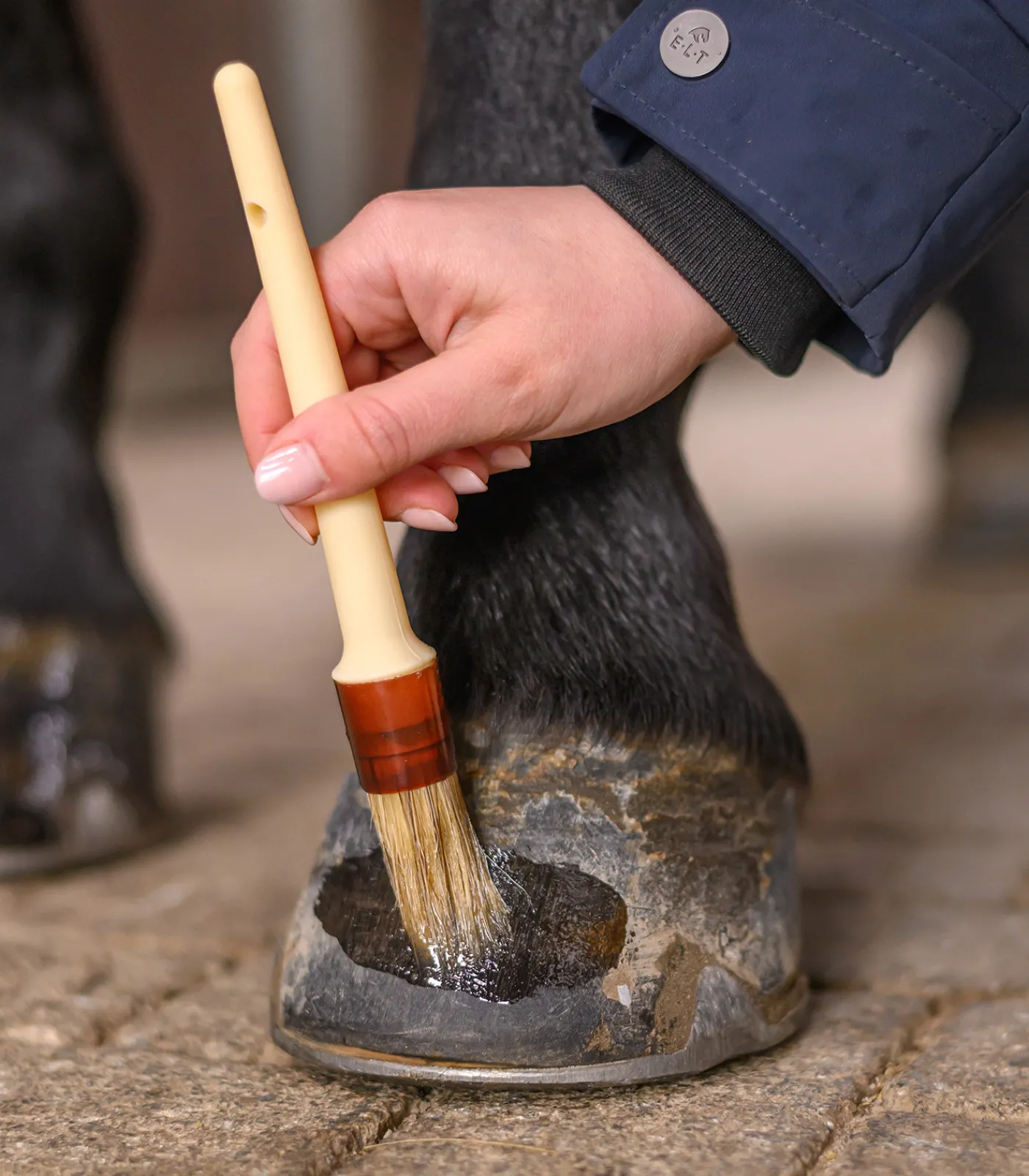 Waldhausen Huf & Pferdebein|Hufpflege>Hufpinsel, Kunststoff