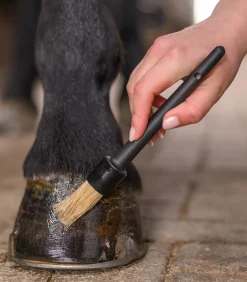 Waldhausen Huf & Pferdebein|Hufpflege></noscript>Hufpinsel mit Kappe